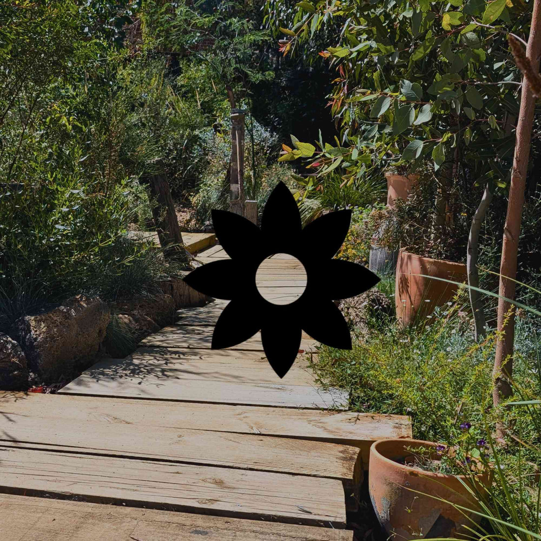Create an Australian border garden: 12 natives that work together - Minimalist Gardener