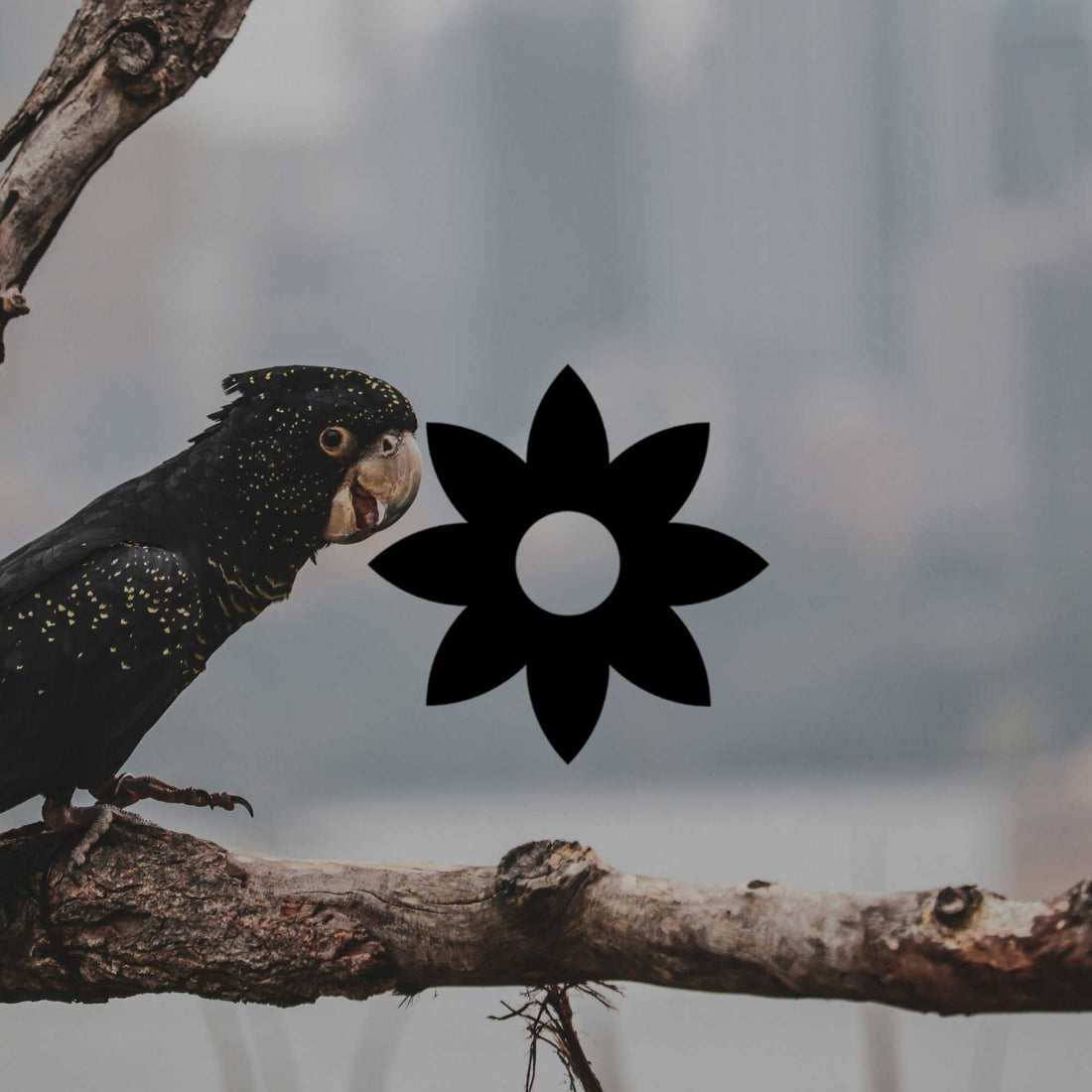 Creating a native garden for wildlife: Simple steps to bring nature back - Minimalist Gardener