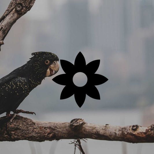 Creating a native garden for wildlife: Simple steps to bring nature back - Minimalist Gardener