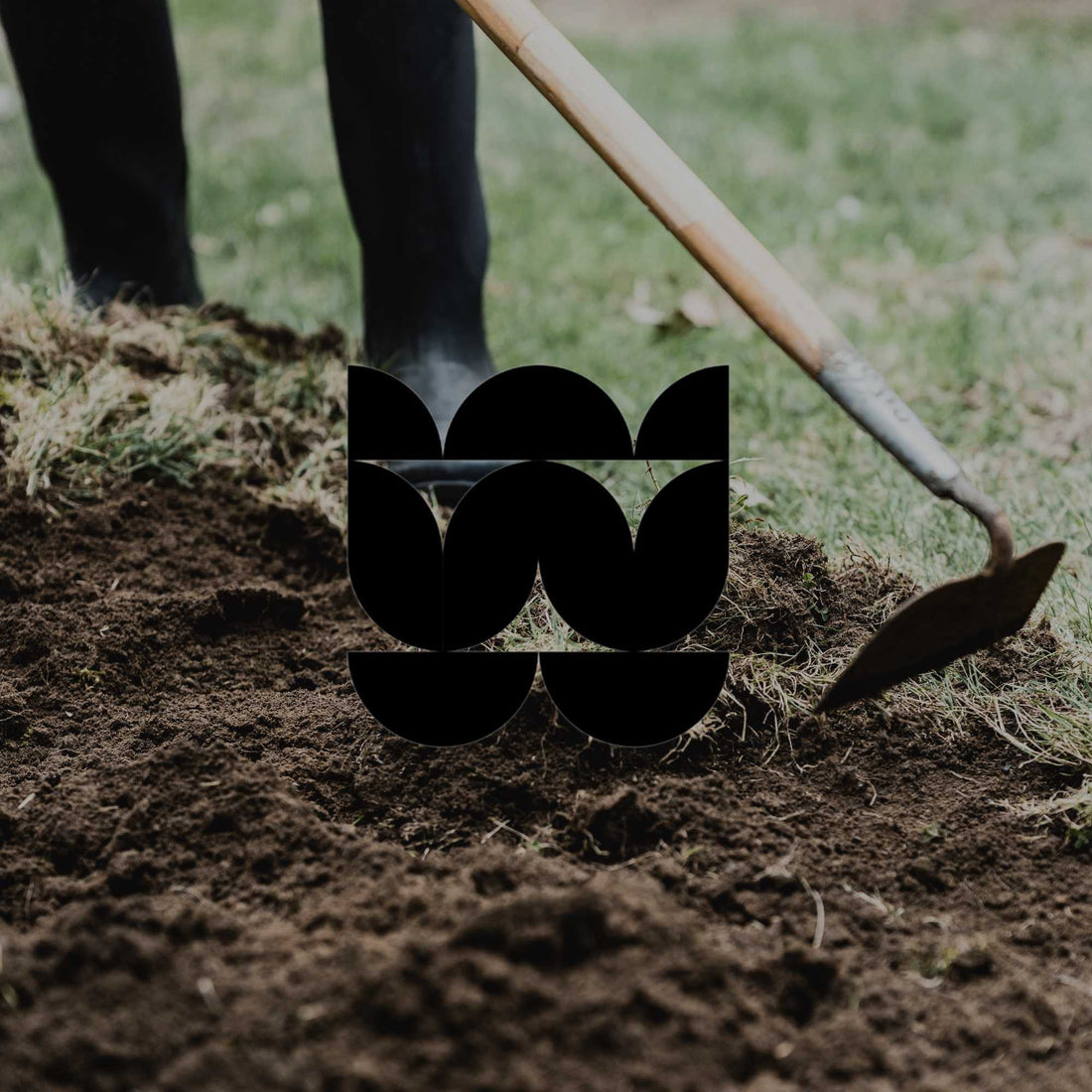 Cultivating soil the right way for Australian native plants - Minimalist Gardener
