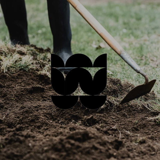 Cultivating soil the right way for Australian native plants - Minimalist Gardener