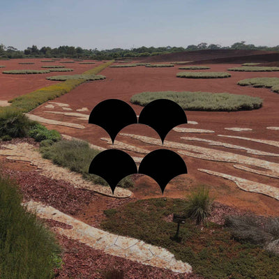 Discover the value of a 'stepping stone' garden - Minimalist Gardener