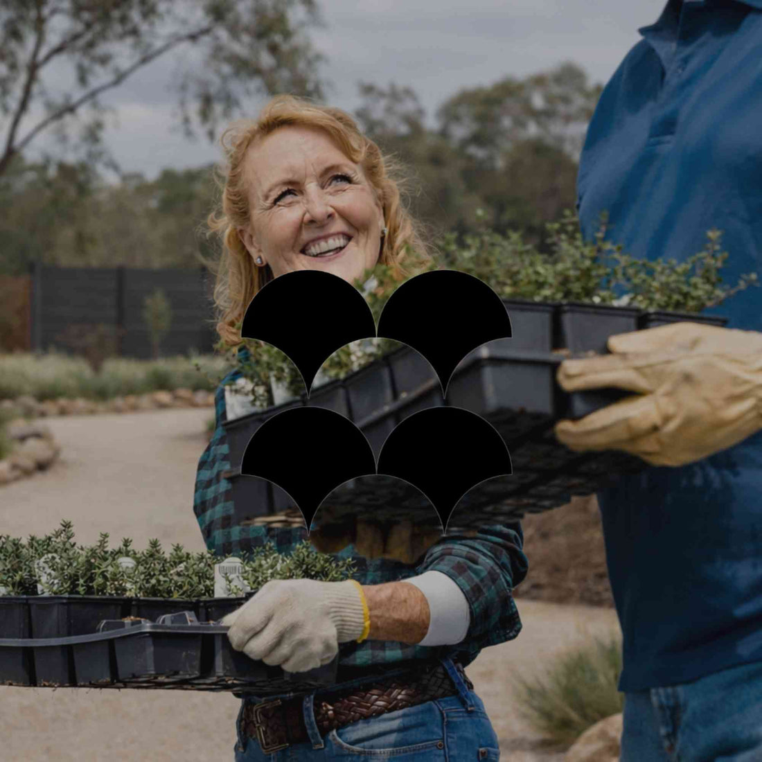 From little things big things grow: How to start your native garden - Minimalist Gardener