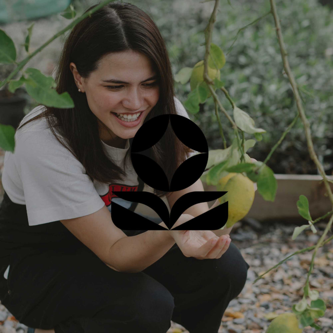 Gardening habits that will pay off forever in your Australian garden - Minimalist Gardener