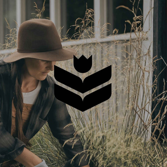 Highly invasive plants in Australia you might have in your garden - Minimalist Gardener