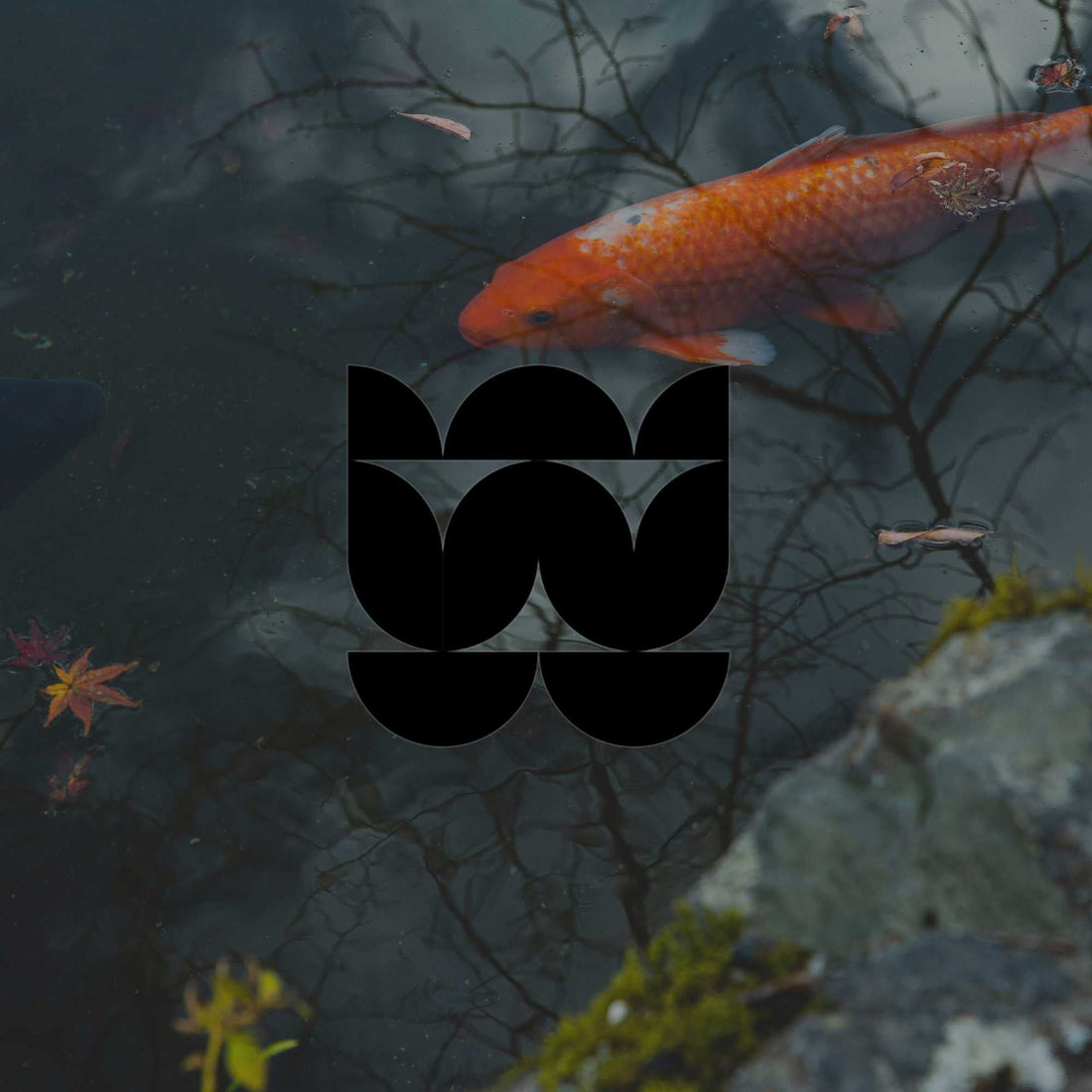 How to build a DIY backyard waterfall and pond in Australia - Minimalist Gardener