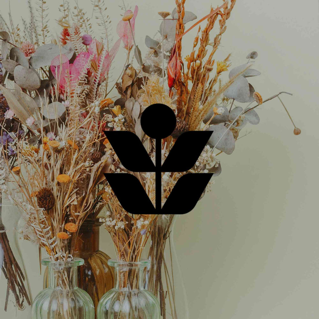 How to dry Australian native flowers for the best result - Minimalist Gardener