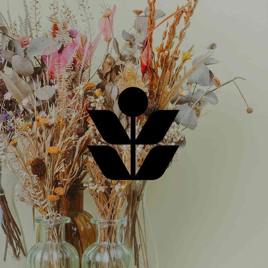 How to dry Australian native flowers for the best result - Minimalist Gardener