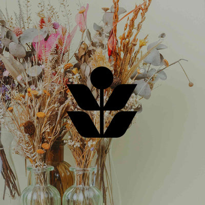 How to dry Australian native flowers for the best result - Minimalist Gardener