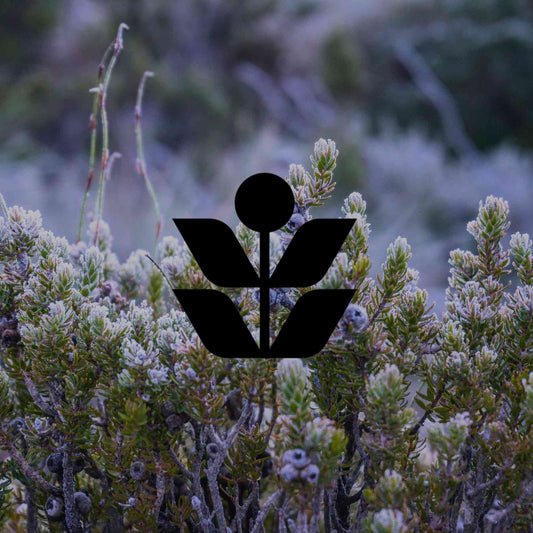 How to protect your Australian native plants from frost organically - Minimalist Gardener