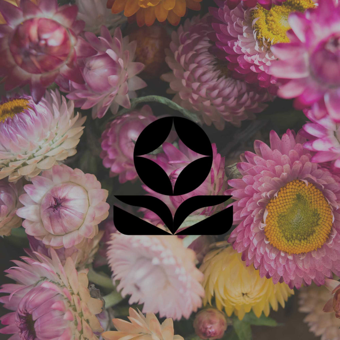 How to start a garden with no experience: A beginner's guide - Minimalist Gardener