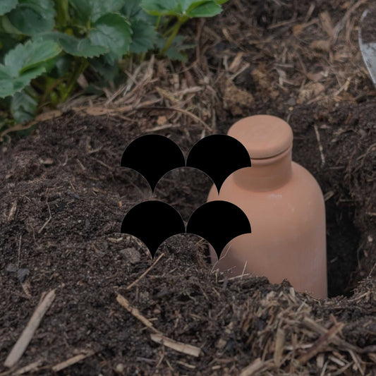 How to use a terracotta olla for easy, water-wise gardening - Minimalist Gardener