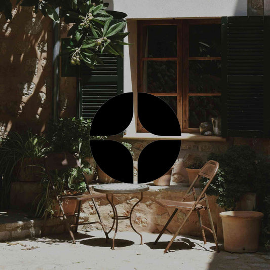 Interesting Australian native plants for pots and containers - Minimalist Gardener