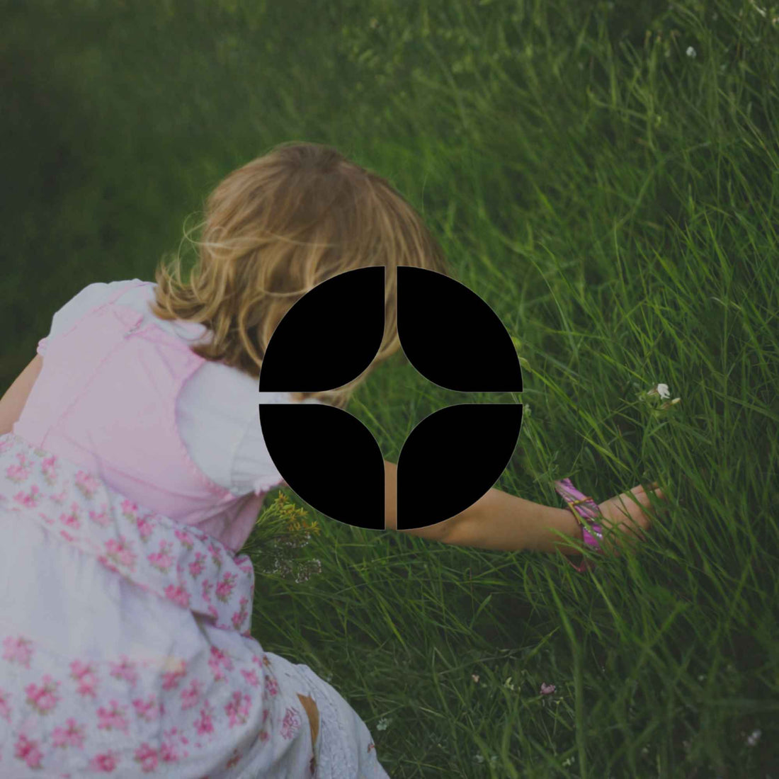 Native gardening activities for children these holidays - Minimalist Gardener