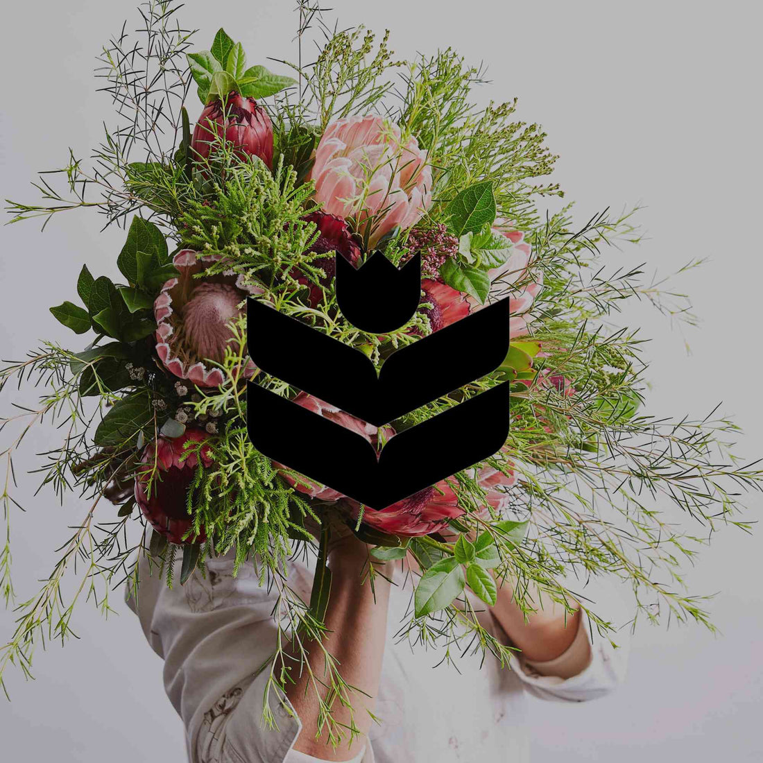 Plants commonly mistaken for Australian natives - Minimalist Gardener