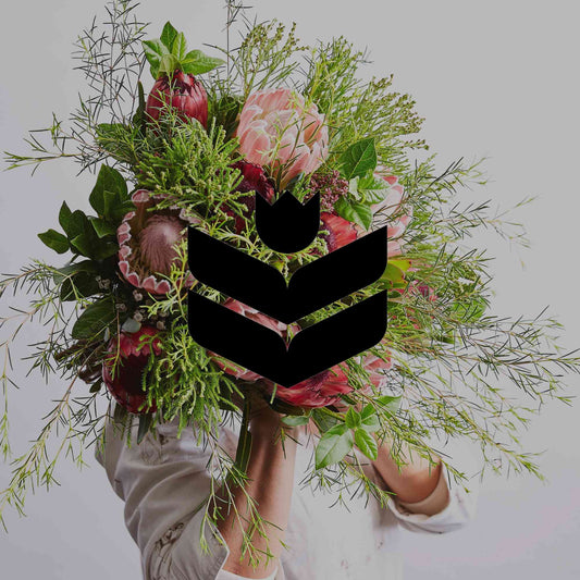 Plants commonly mistaken for Australian natives - Minimalist Gardener