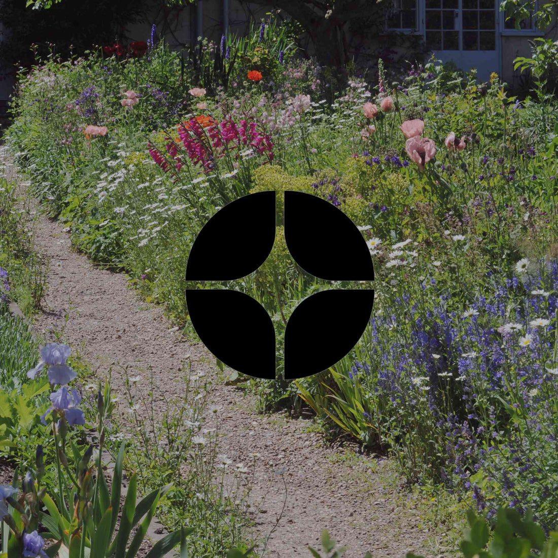 Popular garden plants in Australia it's time to rethink - Minimalist Gardener