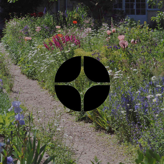 Popular garden plants in Australia it's time to rethink - Minimalist Gardener