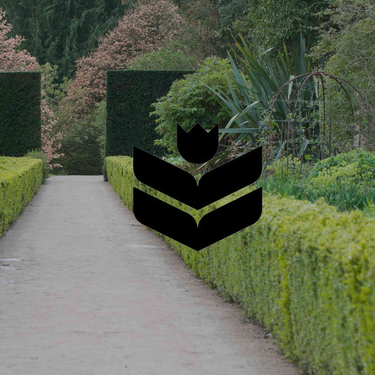 Reasons your Australian garden could be a dead zone - Minimalist Gardener