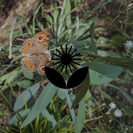 Spring in a native garden: 5 tasks that make a difference - Minimalist Gardener