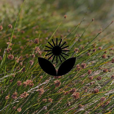 The 10 best Australian natives for supressing weeds in your garden - Minimalist Gardener