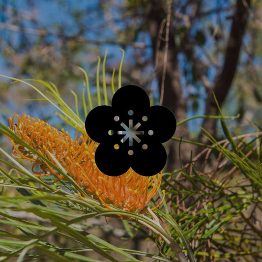The 12 best Australian native plants for Darwin gardens - Minimalist Gardener