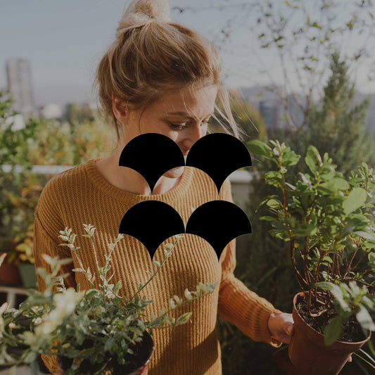 The simplest garden checklist for beginners - Minimalist Gardener