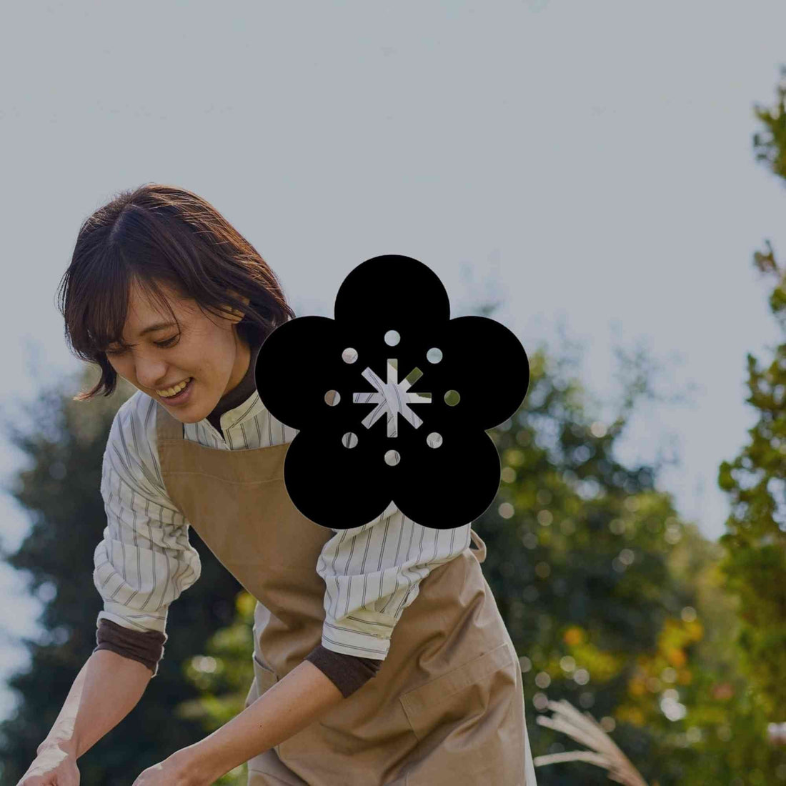 The ultimate guide to soil care in an Australian native garden - Minimalist Gardener