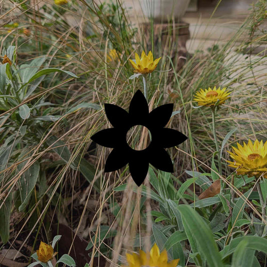 Tips for starting an Australian native garden on a budget - Minimalist Gardener