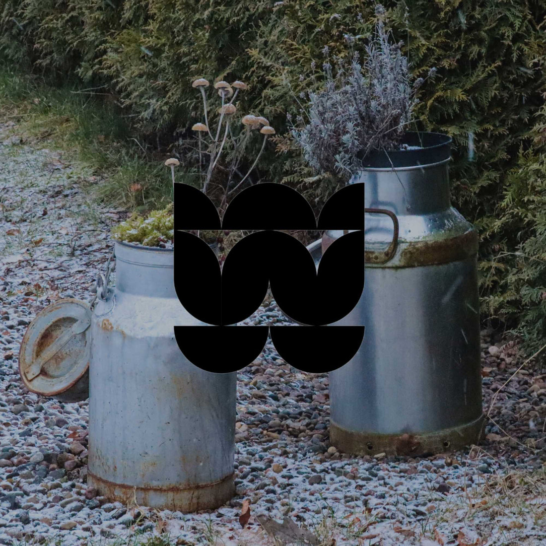 Upcycling garden ideas: Sustainable projects from my own backyard - Minimalist Gardener