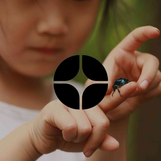 What a native garden can teach Australian kids - Minimalist Gardener