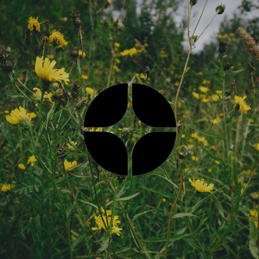 What is chaos gardening? And why it works for Australian gardens - Minimalist Gardener