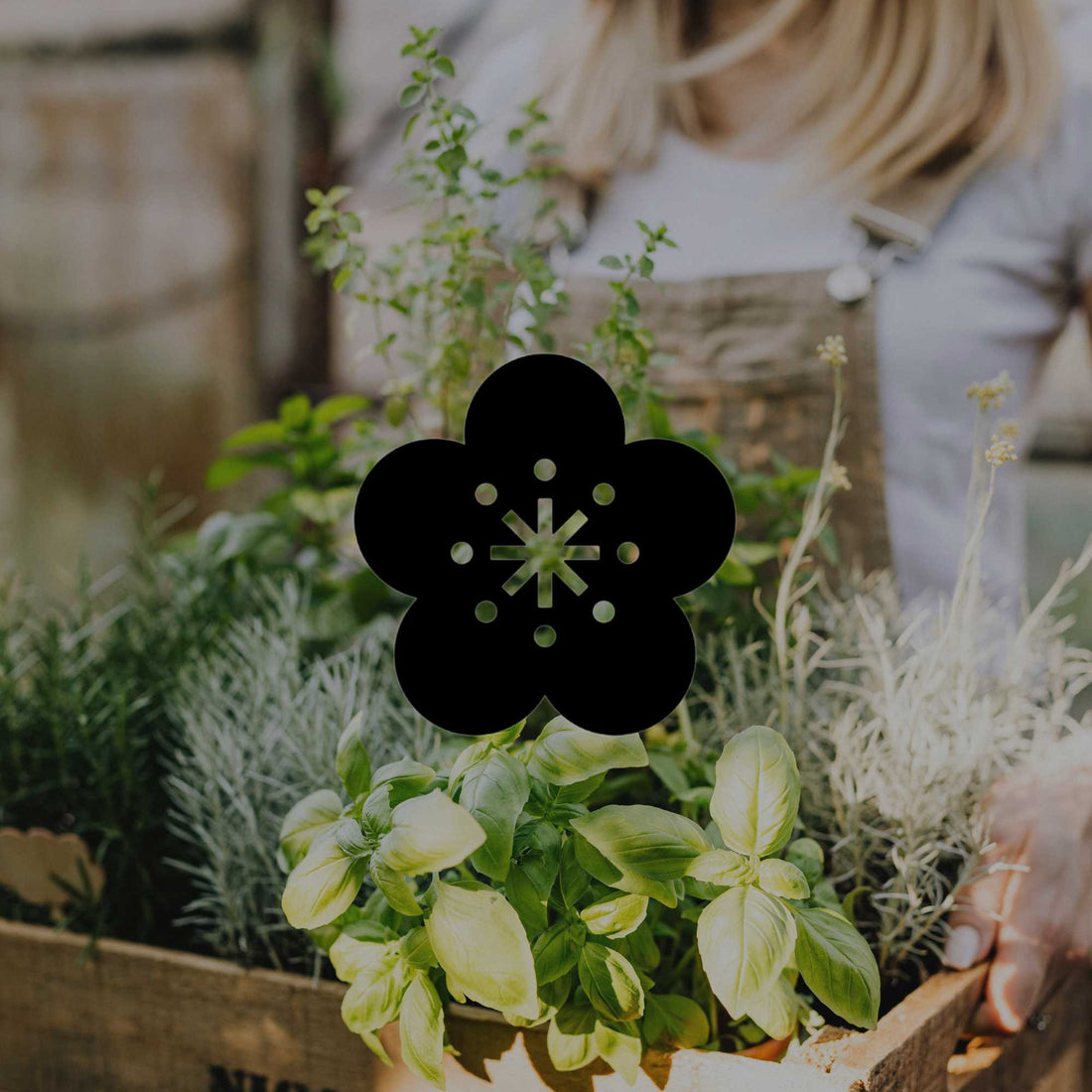 What summer herbs to plant and how to keep them thriving - Minimalist Gardener