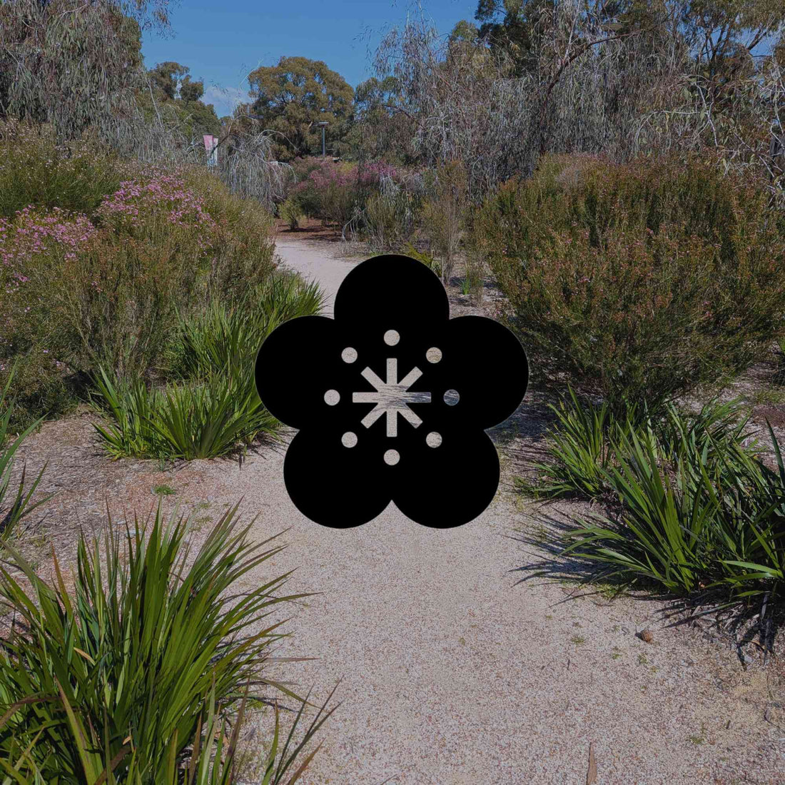 What to plant in your Australian garden where nothing else works - Minimalist Gardener