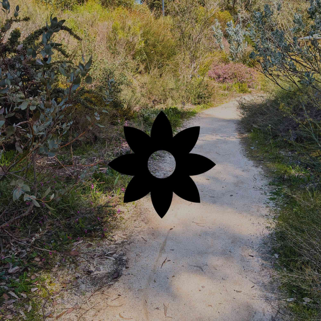 Why heatwaves break some Australian gardens and not others - Minimalist Gardener