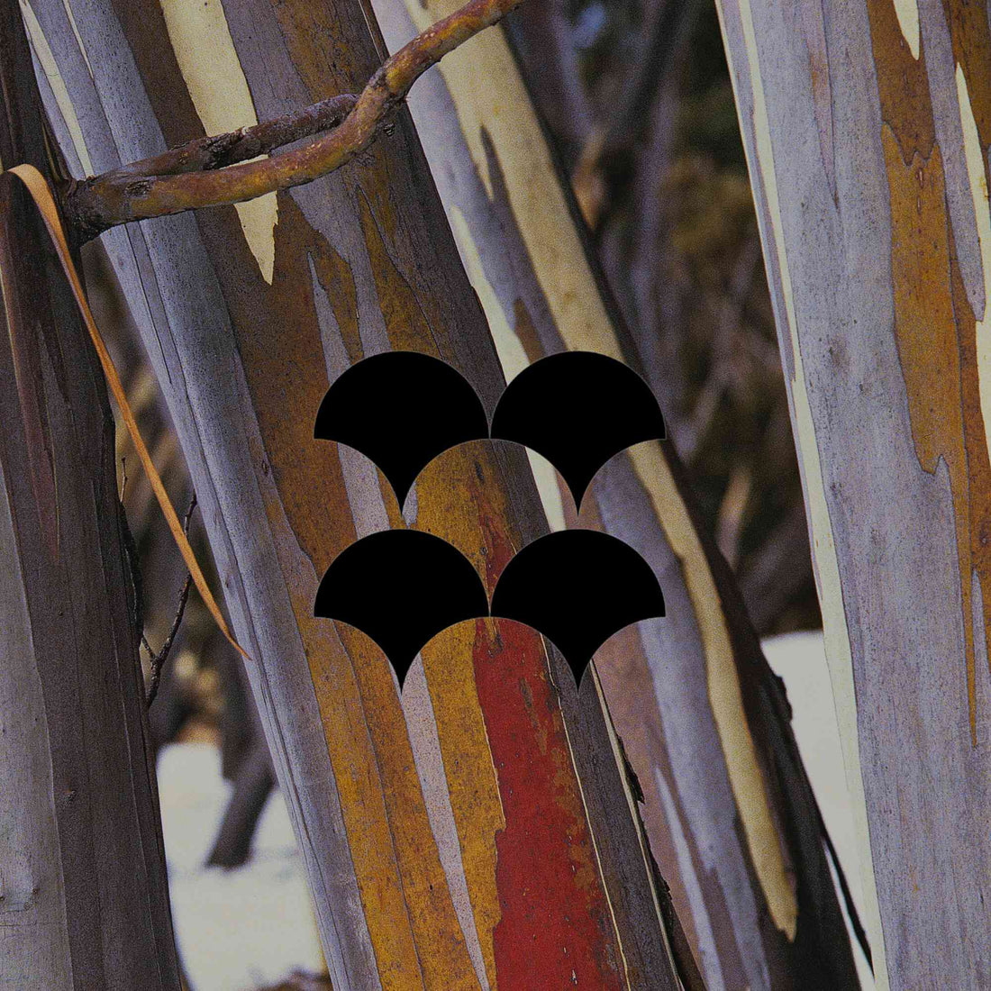 Winter tasks in an Australian native garden by climate zone - Minimalist Gardener