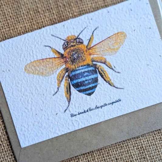 Recycled Plantable Greeting Card | Blue Banded Bee > Gardening Gifts > Greeting Cards > Plantable Paper Card - Minimalist Gardener