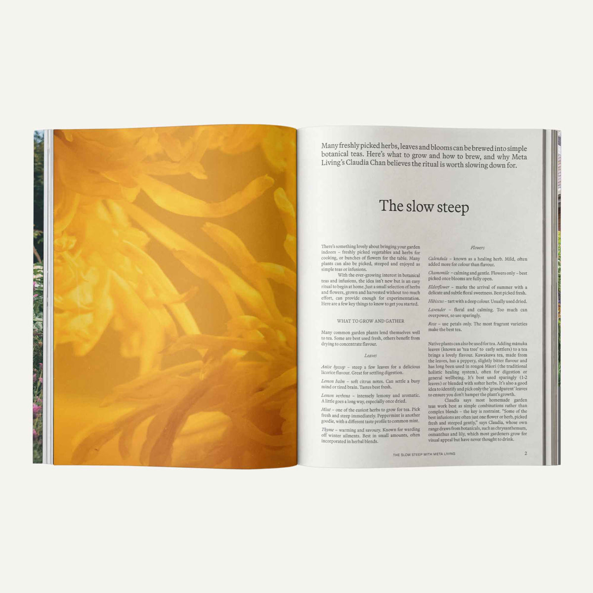 Sage Garden Journal Vol. 2 - For The Garden Curious Home & Garden > Gardening Gifts > Garden Journals - Minimalist Gardener