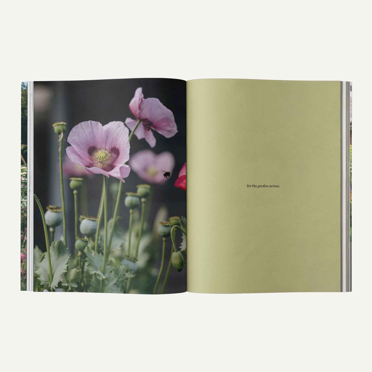 Sage Garden Journal Vol. 2 - For The Garden Curious Home & Garden > Gardening Gifts > Garden Journals - Minimalist Gardener