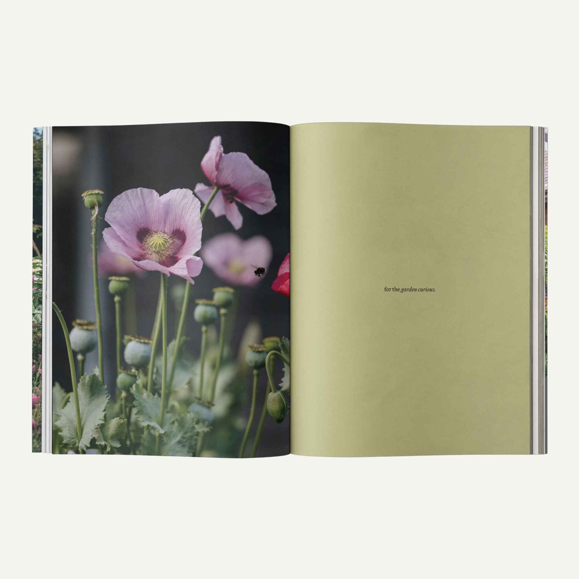 Sage Garden Journal Vol. 2 - For The Garden Curious Home & Garden > Gardening Gifts > Garden Journals - Minimalist Gardener
