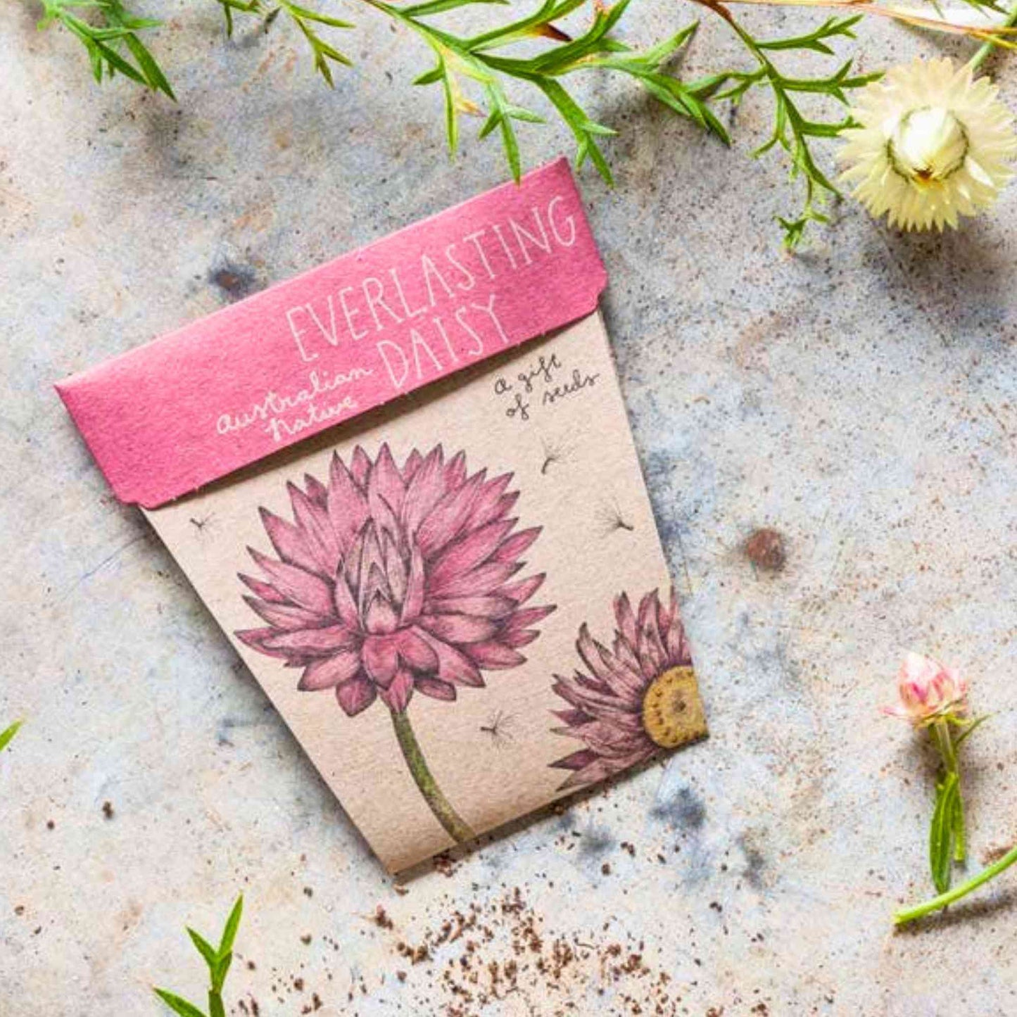 Sow n' Sow Everlasting Daisy Australian Native Gift of Seeds > Home & Garden > Garden Accessories > Australian Native Seeds - Minimalist Gardener