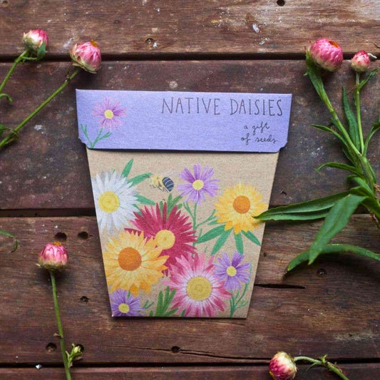 Sow n' Sow Native Daisies Australian Native Gift of Seeds > Home & Garden > Garden Accessories > Australian Native Seeds - Minimalist Gardener