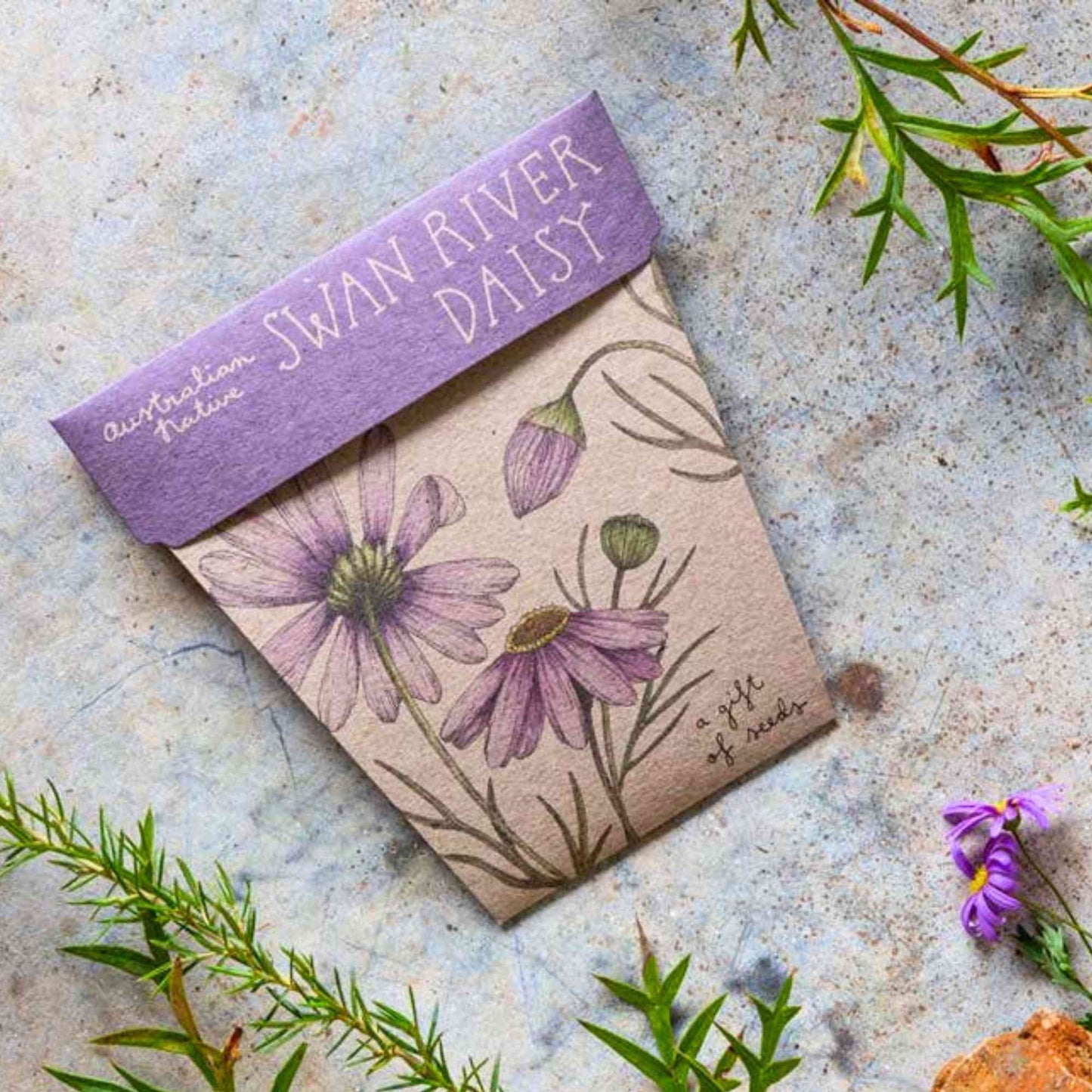 Sow n' Sow Swan River Daisy Australian Native Gift of Seeds > Home & Garden > Garden Accessories > Australian Native Seeds - Minimalist Gardener
