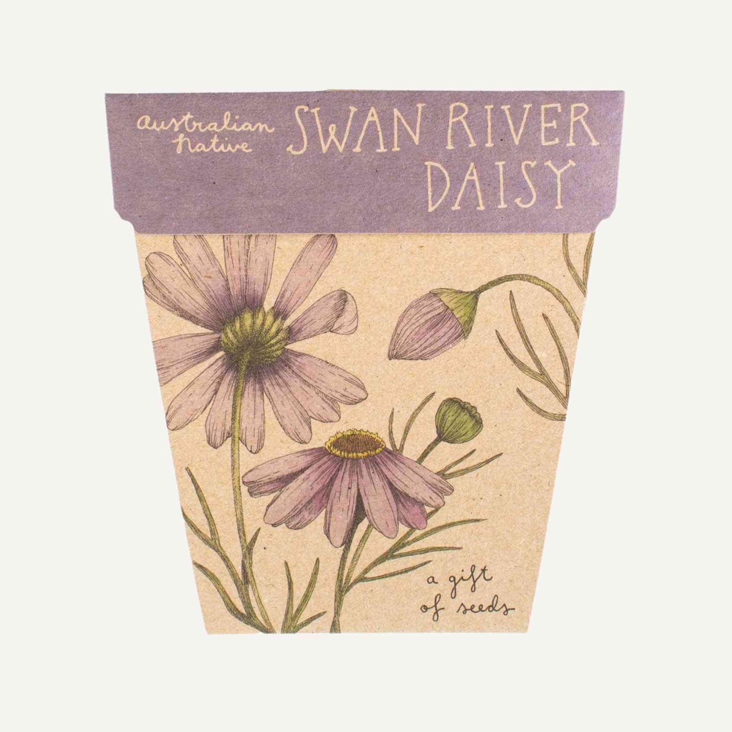 Sow n' Sow Swan River Daisy Australian Native Gift of Seeds > Home & Garden > Garden Accessories > Australian Native Seeds - Minimalist Gardener