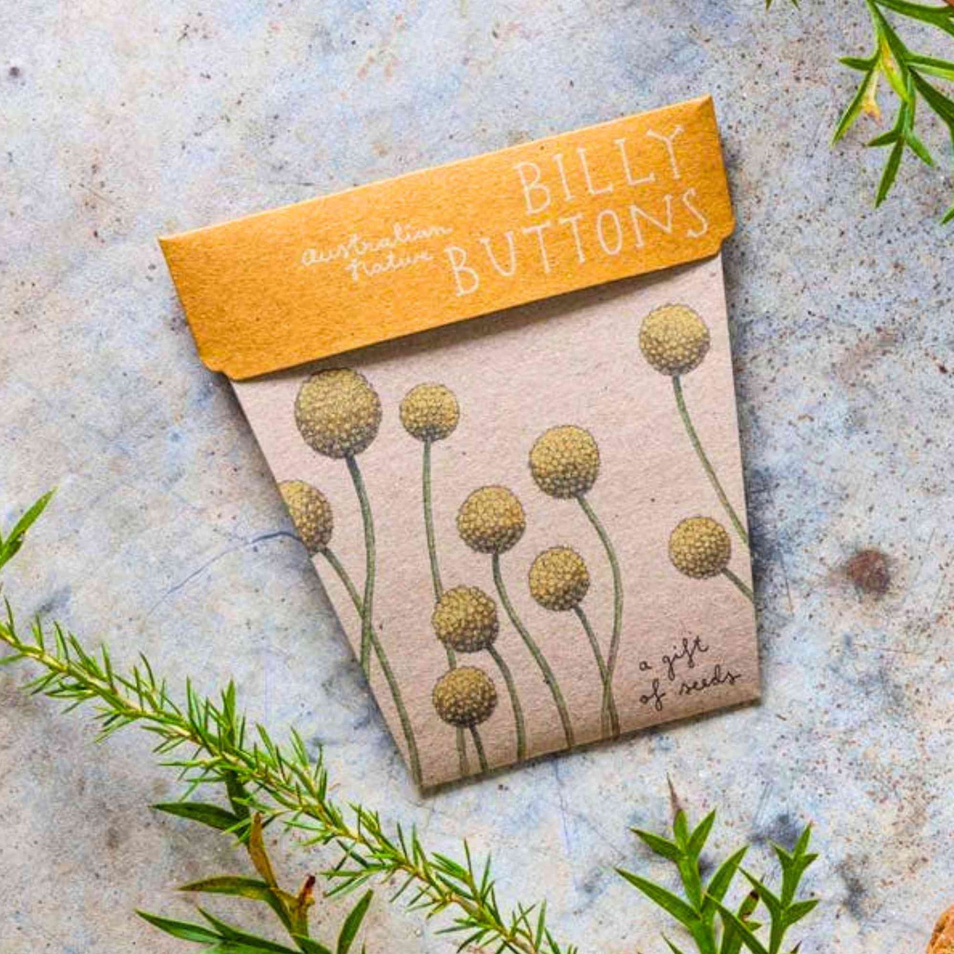 Sow n' Sow Billy Button Australian Native Gift of Seeds > Home & Garden > Garden Accessories > Australian Native Seeds - Minimalist Gardener