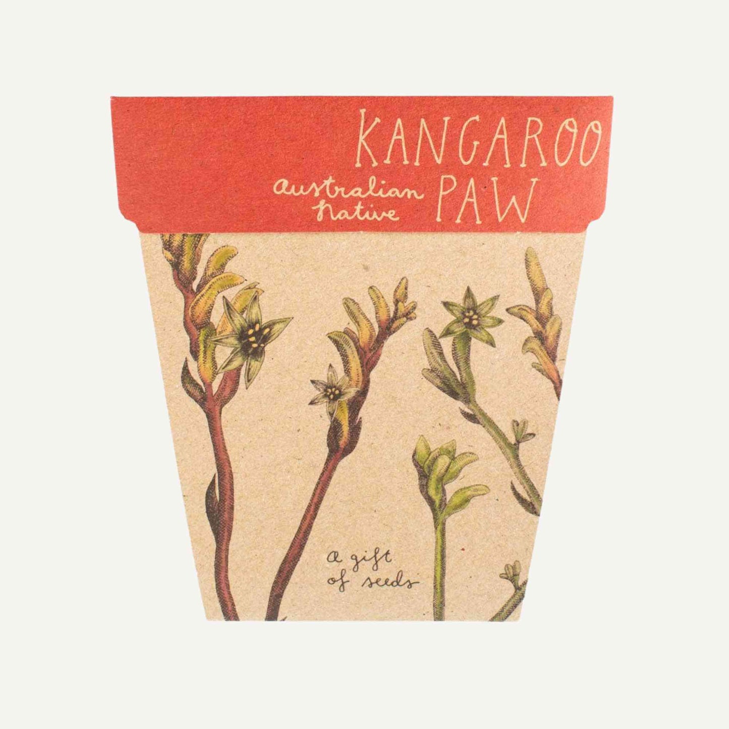 Sow n' Sow Kangaroo Paw Australian Native Gift of Seeds > Home & Garden > Garden Accessories > Australian Native Seeds - Minimalist Gardener