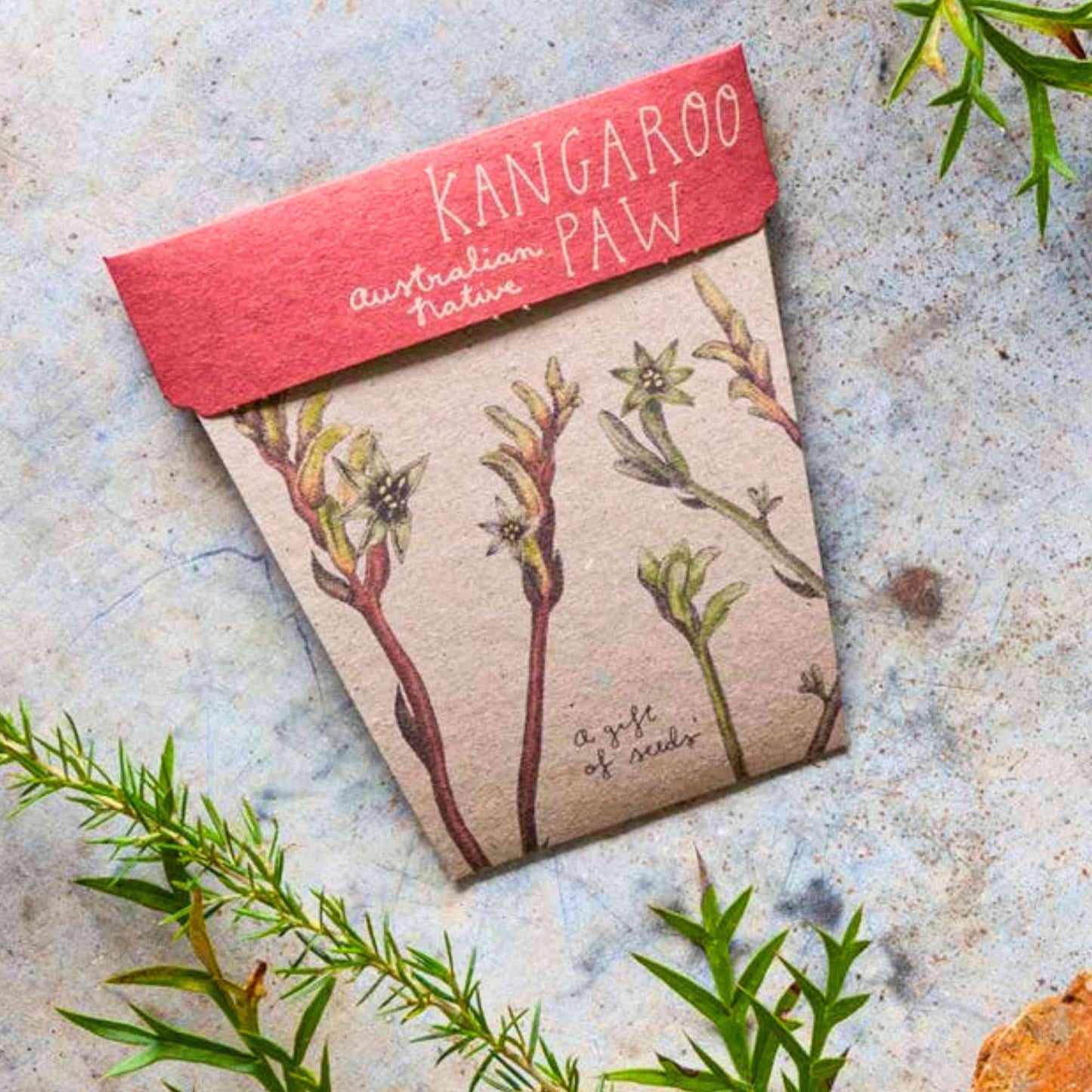 Sow n' Sow Kangaroo Paw Australian Native Gift of Seeds > Home & Garden > Garden Accessories > Australian Native Seeds - Minimalist Gardener