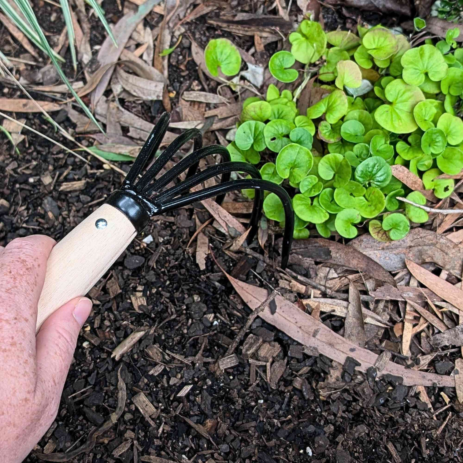 Asano Japanese Ninja Claw Rake & Cultivator Home & Garden > Garden Tools > Hand Tools - Minimalist Gardener