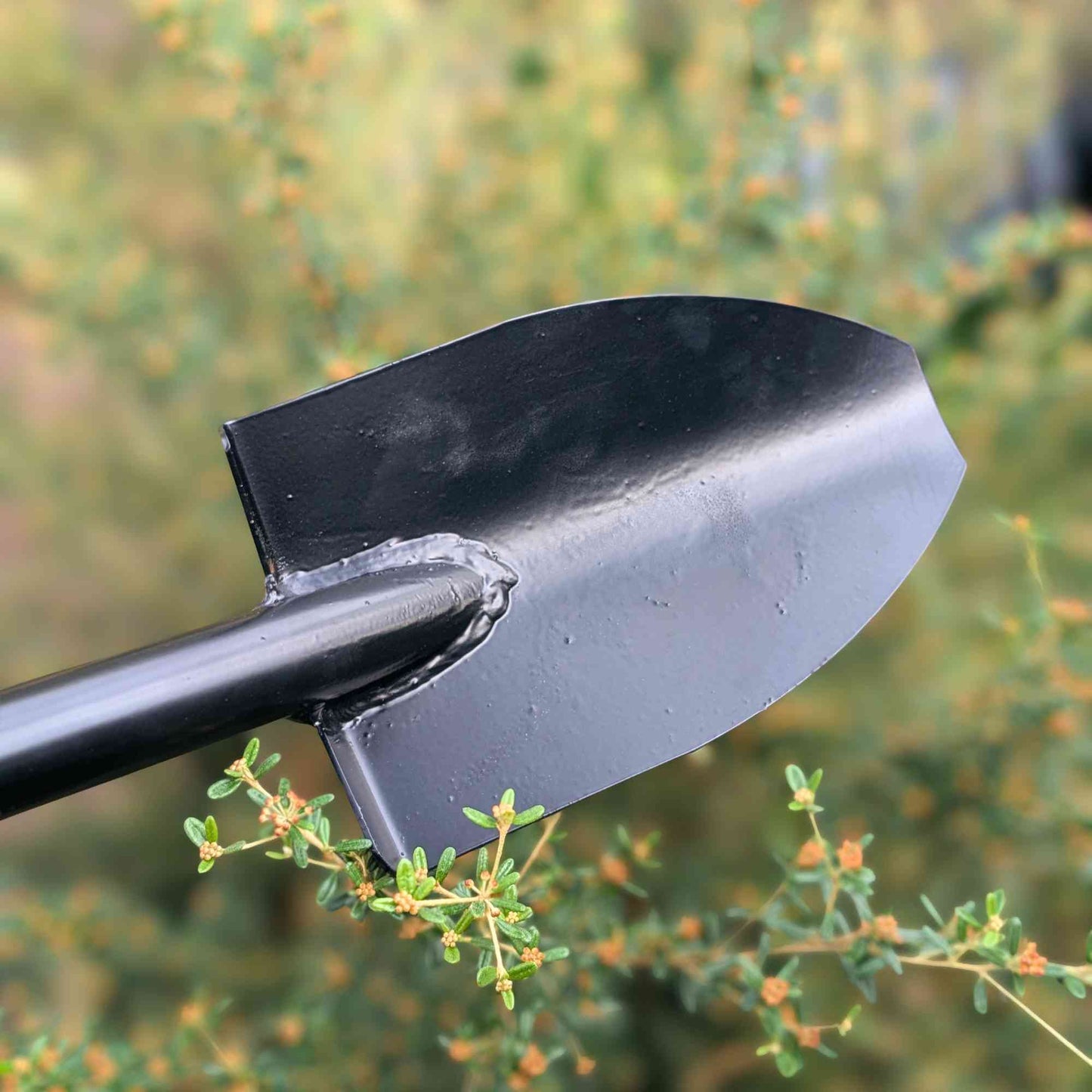 Australian Made D-Handle Planting Spade Home & Garden > Garden Tools > Gardening Tools - Minimalist Gardener