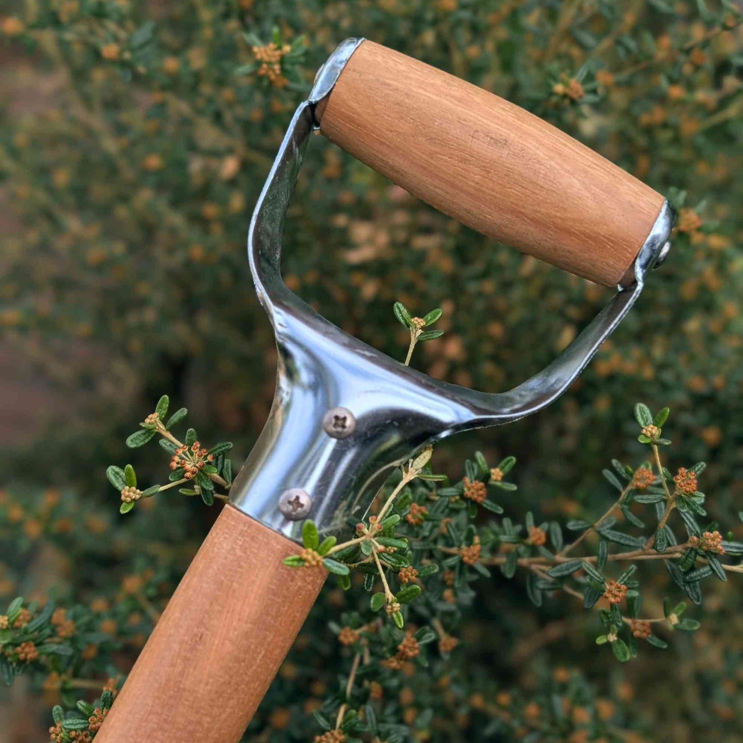 Australian Made D-Handle Planting Spade Home & Garden > Garden Tools > Gardening Tools - Minimalist Gardener